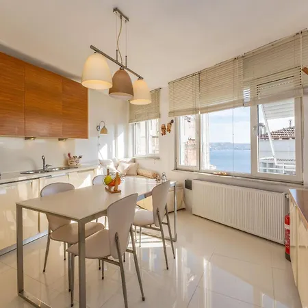 Bosphorus View-airport Shutle-high Speed Wifi-private Parking Istanbul