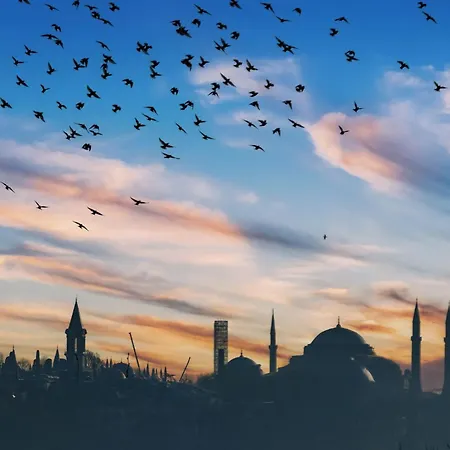 Bosphorus View-airport Shutle-high Speed Wifi-private Parking アパート *
